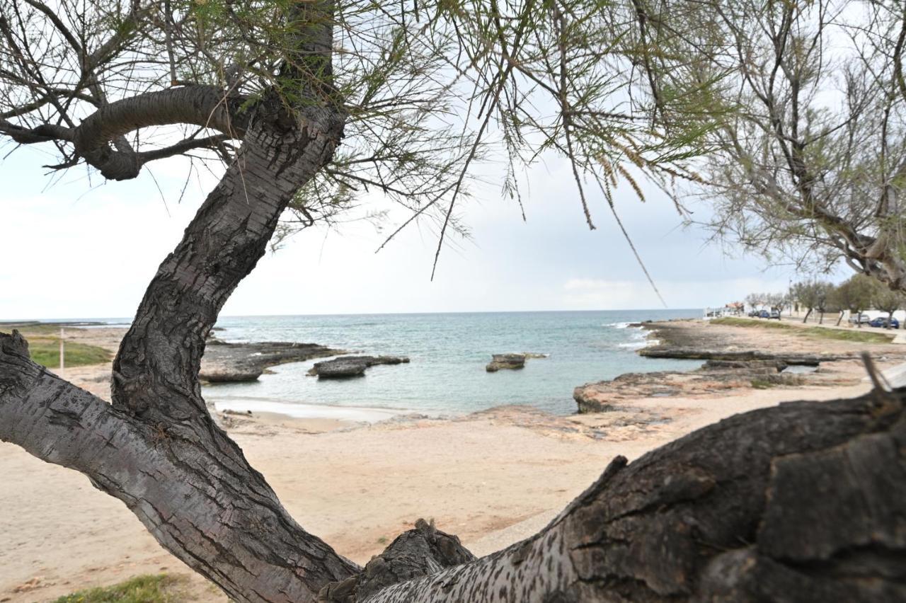 Villa Adua Torre Santa Sabina Εξωτερικό φωτογραφία