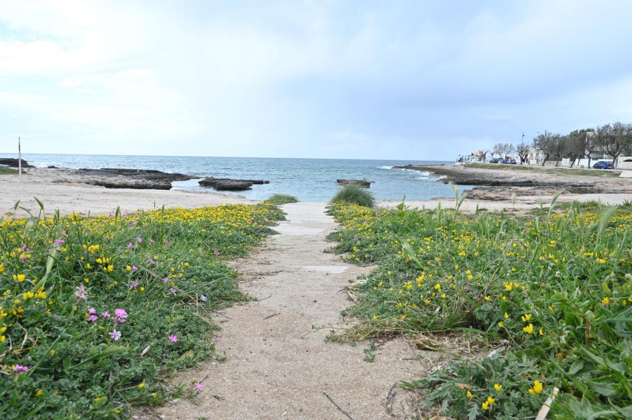 Villa Adua Torre Santa Sabina Εξωτερικό φωτογραφία